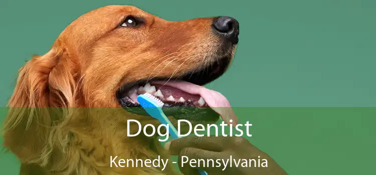 Dog Dentist Kennedy - Pennsylvania