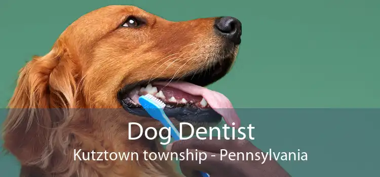 Dog Dentist Kutztown township - Pennsylvania