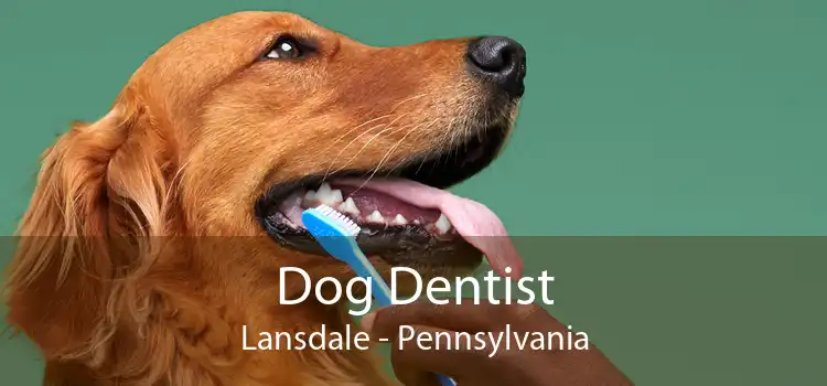 Dog Dentist Lansdale - Pennsylvania