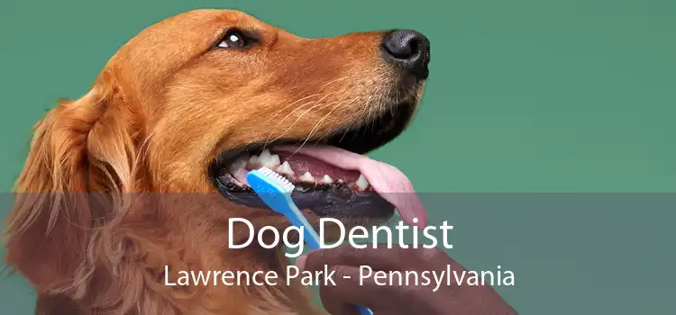 Dog Dentist Lawrence Park - Pennsylvania