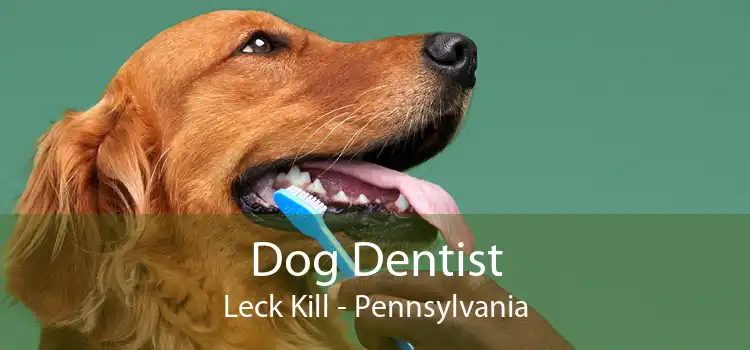 Dog Dentist Leck Kill - Pennsylvania