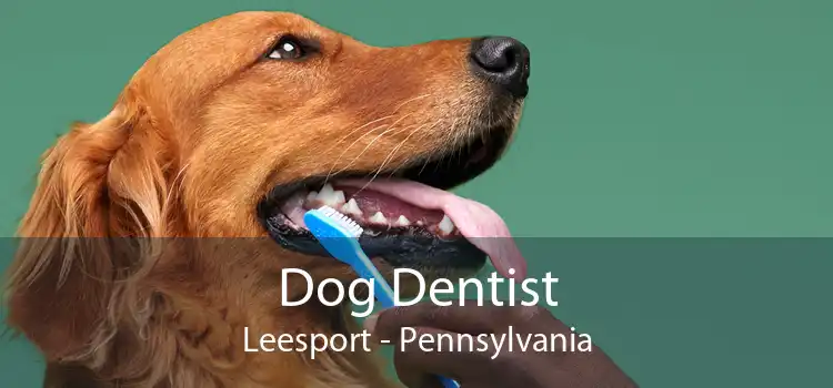 Dog Dentist Leesport - Pennsylvania