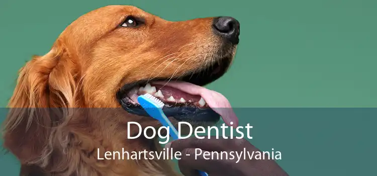 Dog Dentist Lenhartsville - Pennsylvania