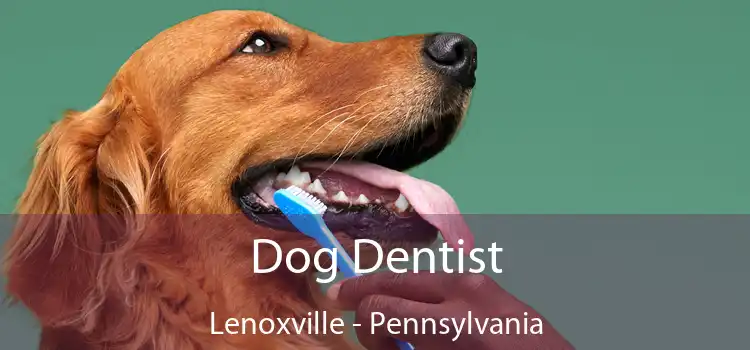 Dog Dentist Lenoxville - Pennsylvania
