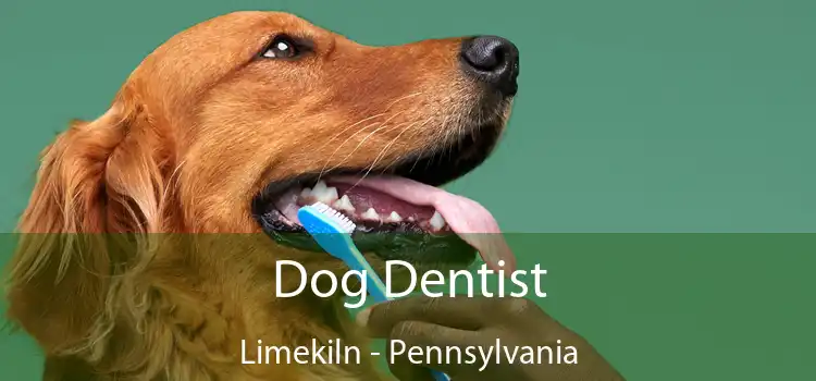 Dog Dentist Limekiln - Pennsylvania