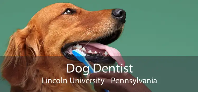 Dog Dentist Lincoln University - Pennsylvania