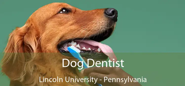 Dog Dentist Lincoln University - Pennsylvania