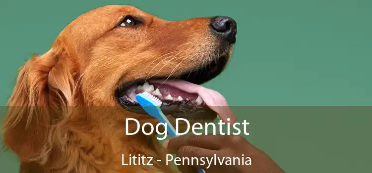 Dog Dentist Lititz - Pennsylvania