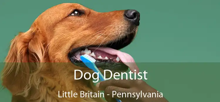 Dog Dentist Little Britain - Pennsylvania