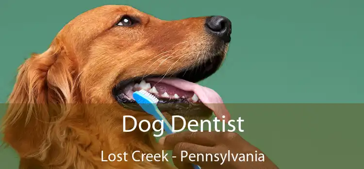 Dog Dentist Lost Creek - Pennsylvania