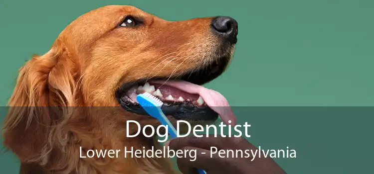 Dog Dentist Lower Heidelberg - Pennsylvania