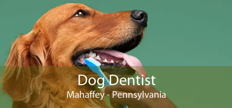 Dog Dentist Mahaffey - Pennsylvania