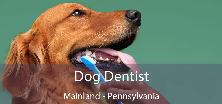 Dog Dentist Mainland - Pennsylvania