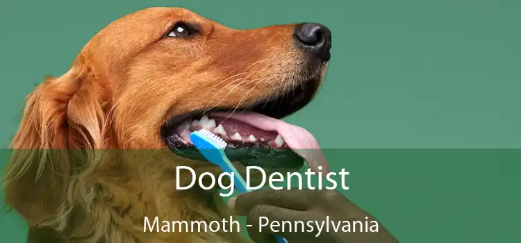 Dog Dentist Mammoth - Pennsylvania