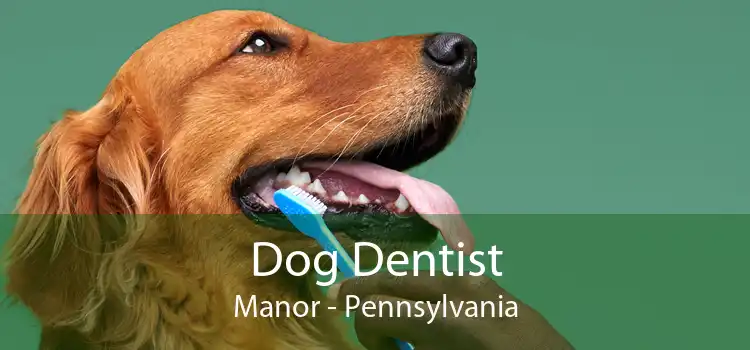 Dog Dentist Manor - Pennsylvania