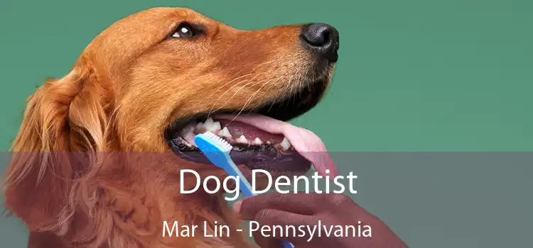Dog Dentist Mar Lin - Pennsylvania