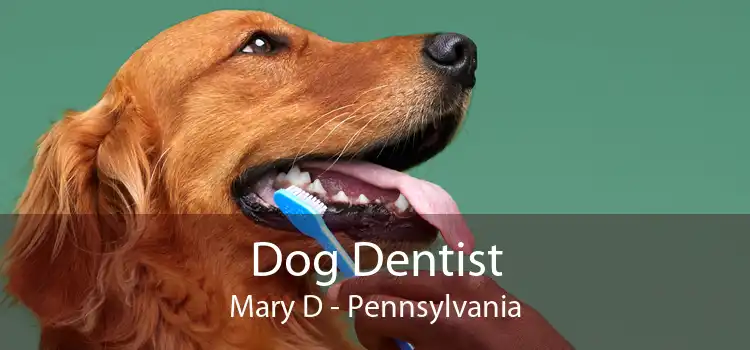 Dog Dentist Mary D - Pennsylvania