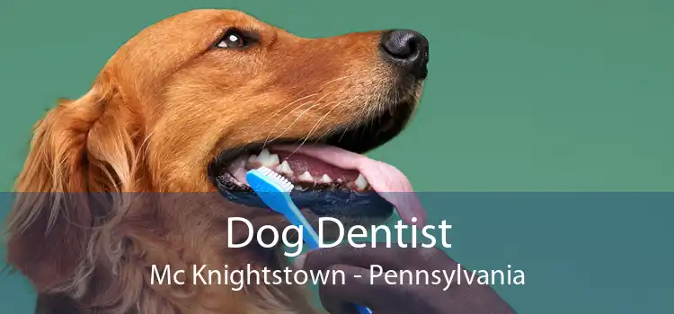 Dog Dentist Mc Knightstown - Pennsylvania