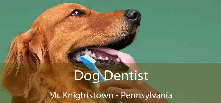 Dog Dentist Mc Knightstown - Pennsylvania