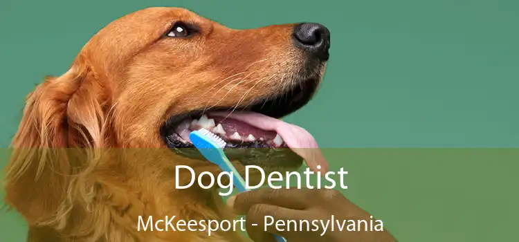 Dog Dentist McKeesport - Pennsylvania
