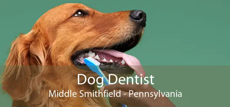 Dog Dentist Middle Smithfield - Pennsylvania