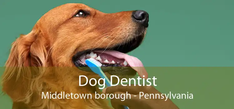 Dog Dentist Middletown borough - Pennsylvania
