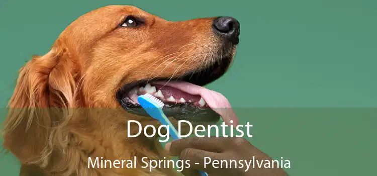 Dog Dentist Mineral Springs - Pennsylvania