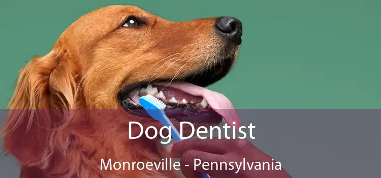 Dog Dentist Monroeville - Pennsylvania