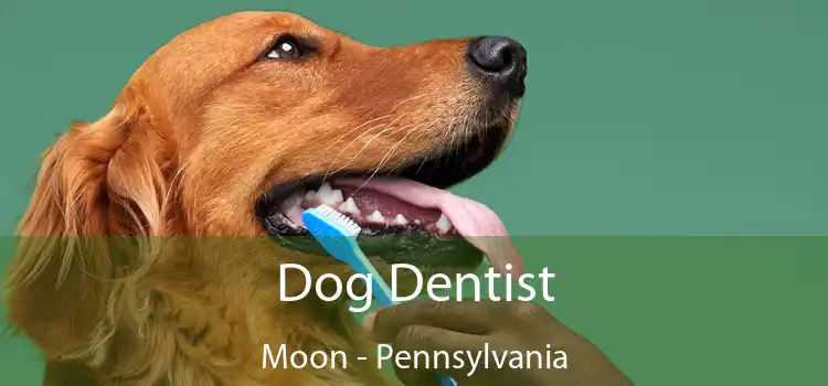 Dog Dentist Moon - Pennsylvania