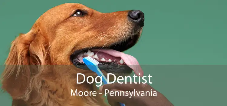 Dog Dentist Moore - Pennsylvania