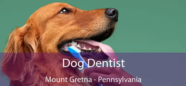 Dog Dentist Mount Gretna - Pennsylvania