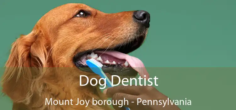 Dog Dentist Mount Joy borough - Pennsylvania