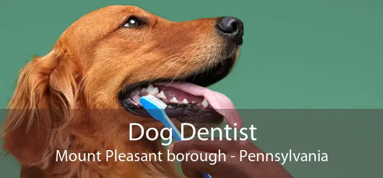 Dog Dentist Mount Pleasant borough - Pennsylvania