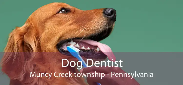 Dog Dentist Muncy Creek township - Pennsylvania