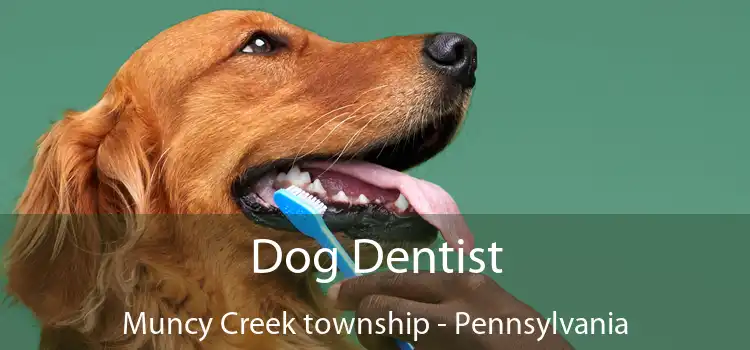 Dog Dentist Muncy Creek township - Pennsylvania