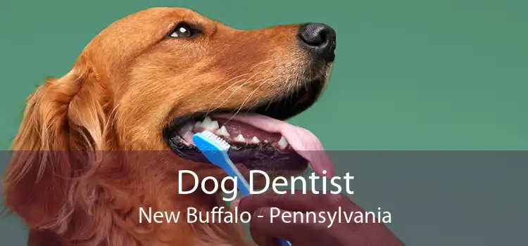 Dog Dentist New Buffalo - Pennsylvania