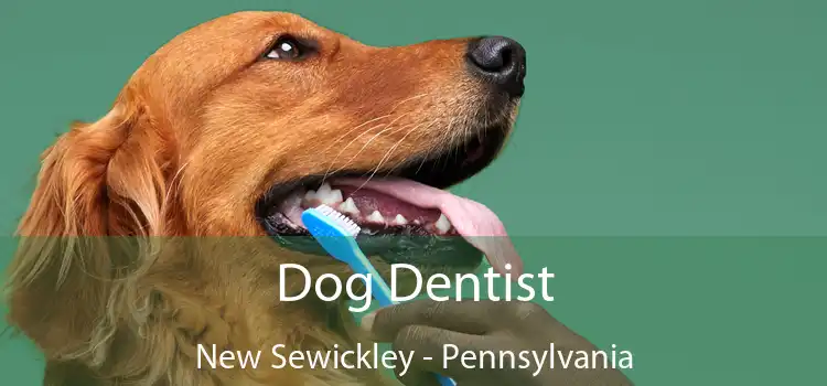 Dog Dentist New Sewickley - Pennsylvania