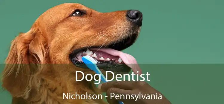 Dog Dentist Nicholson - Pennsylvania