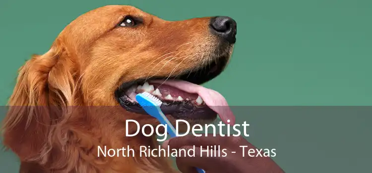 Dog Dentist North Richland Hills - Texas