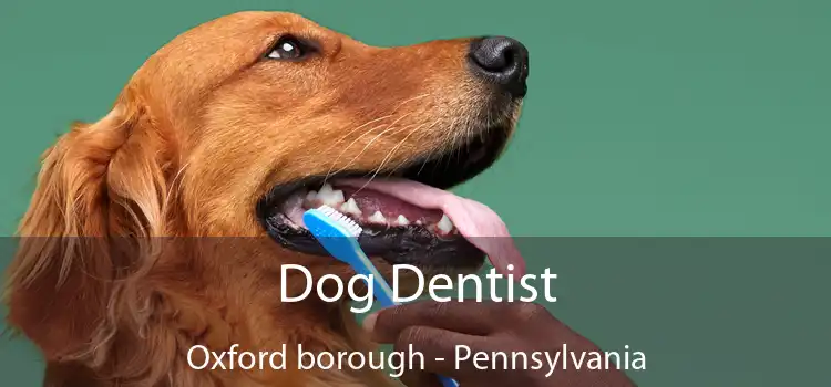 Dog Dentist Oxford borough - Pennsylvania