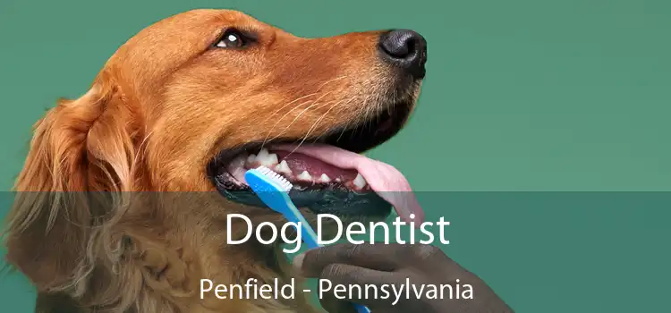 Dog Dentist Penfield - Pennsylvania