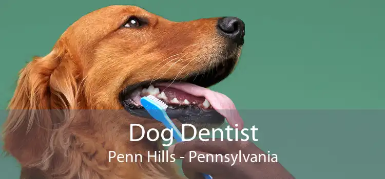 Dog Dentist Penn Hills - Pennsylvania
