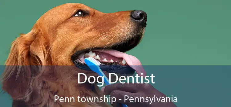 Dog Dentist Penn township - Pennsylvania