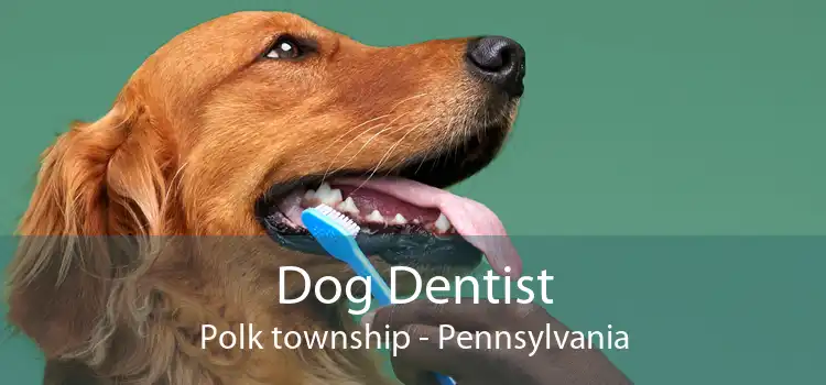 Dog Dentist Polk township - Pennsylvania