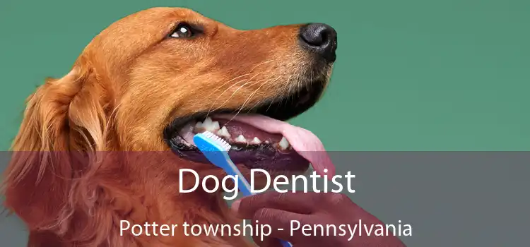 Dog Dentist Potter township - Pennsylvania