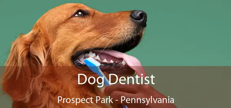 Dog Dentist Prospect Park - Pennsylvania