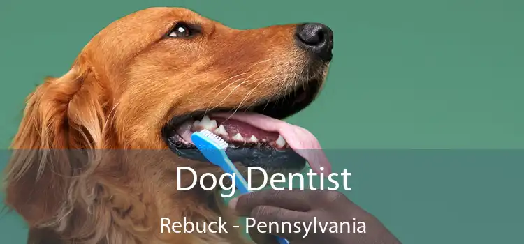 Dog Dentist Rebuck - Pennsylvania