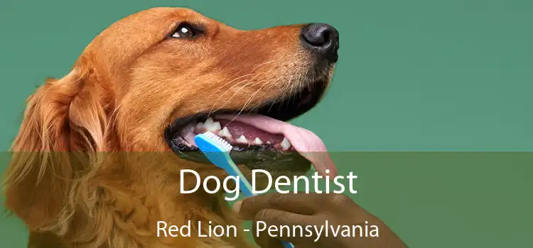 Dog Dentist Red Lion - Pennsylvania