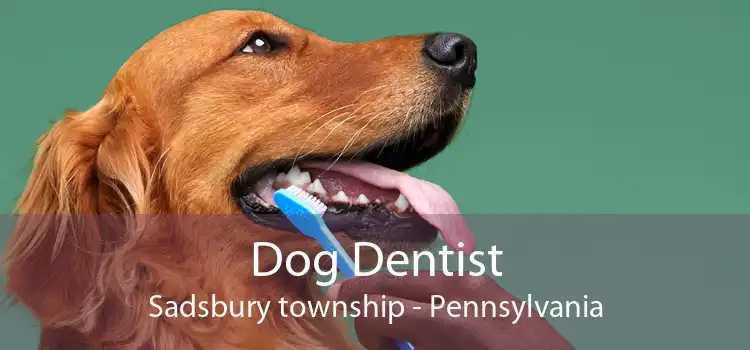 Dog Dentist Sadsbury township - Pennsylvania