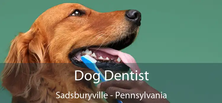 Dog Dentist Sadsburyville - Pennsylvania